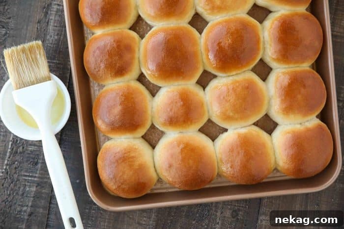 Soft and Fluffy Homemade Dinner Rolls Recipe 6 Fresh dinner rolls hot from the oven brushed with melted butter. It can't get better than this!