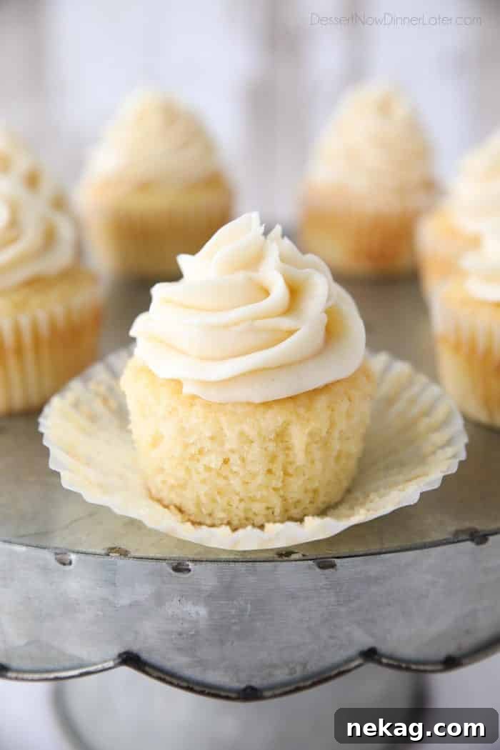 This vanilla cupcakes recipe is easy, classic, moist, fluffy, and perfectly sweet. Great for birthdays or any occasion. These basic cupcakes are a must for your recipe box.