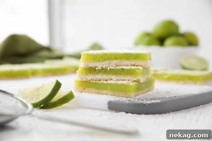 Creamy Lime Bars Recipe with Step-by-Step Video Tutorial 5 Lime Bars are exactly like lemon bars, but made with limes instead. A shortbread crust is topped with a tangy lime custard. Easy and delicious!
