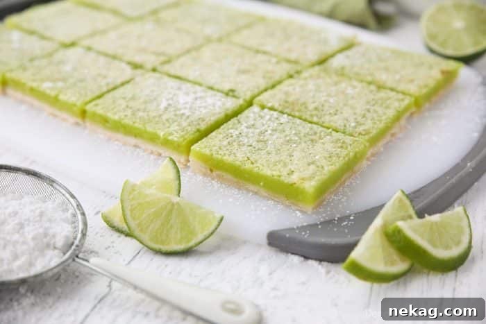 Creamy Lime Bars Recipe with Step-by-Step Video Tutorial 6 Lime Bars are exactly like lemon bars, but made with limes instead. A shortbread crust is topped with a tangy lime custard. Easy and delicious!