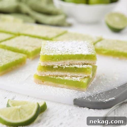 Creamy Lime Bars Recipe with Step-by-Step Video Tutorial 7 Lime Bars are exactly like lemon bars, but made with limes instead. A shortbread crust is topped with a tangy lime custard. Easy and delicious!
