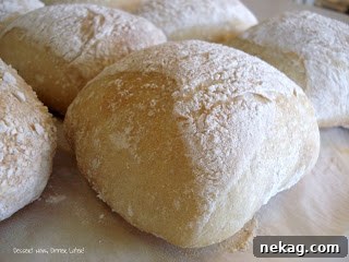 Authentic Ciabatta Rolls Recipe for Crispy Crust and Airy Crumb 2 img 271 2
