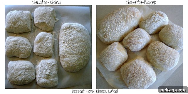 Authentic Ciabatta Rolls Recipe for Crispy Crust and Airy Crumb 4 img 271 4