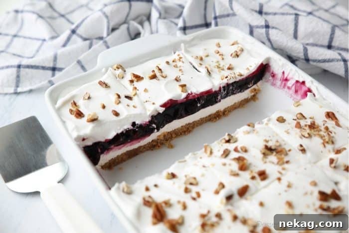 Squares of Blueberry Delight dessert show layers of graham cracker pecan crust, no-bake cheesecake, blueberry filling, and whipped topping.