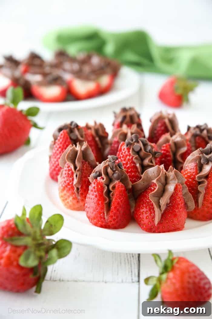 Plate of strawberries filled with no bake chocolate cheesecake filling and topped with mini chocolate chips.