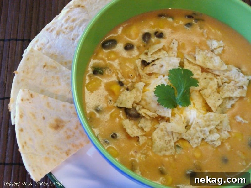 Creamy Chicken Tortilla Soup