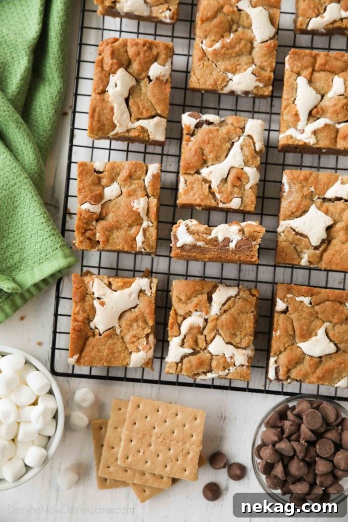 S'mores Bar Recipe: Chewy Graham, Chocolate & Toasted Marshmallow 3 Gooey s'mores bars on a cooling rack with graham crackers, chocolate chips, and marshmallows nearby.