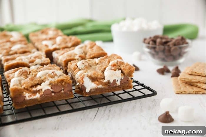 S'mores Bar Recipe: Chewy Graham, Chocolate & Toasted Marshmallow 6 Gooey s'mores bars cooling with ingredients nearby.