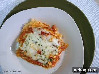 Quick Semi-Homemade Lasagna Recipe for Busy Weeknights 3 img 275 2