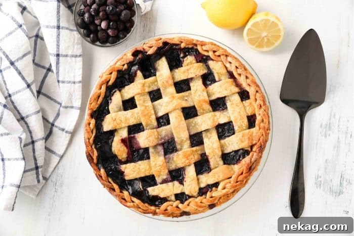 Whole blueberry pie with lattice crust and braided edges.