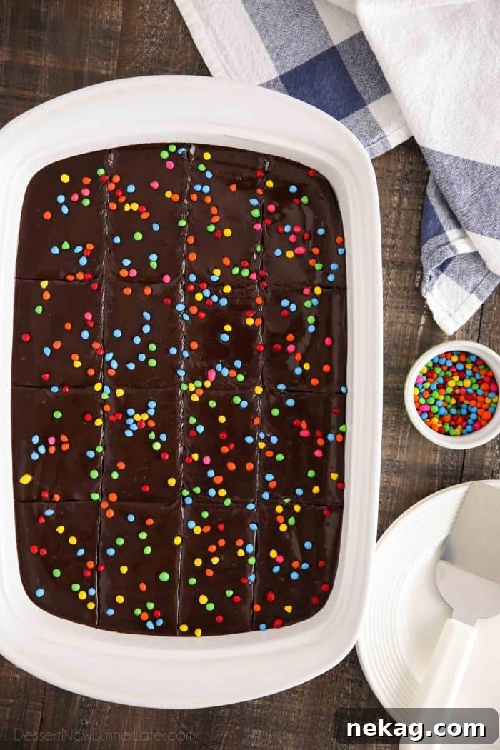 Chewy Chocolate Brownies with Rainbow Sprinkles 5 Cosmic Brownies made from scratch. Rich, fudgy, and topped with colorful candy coated chocolate chips.