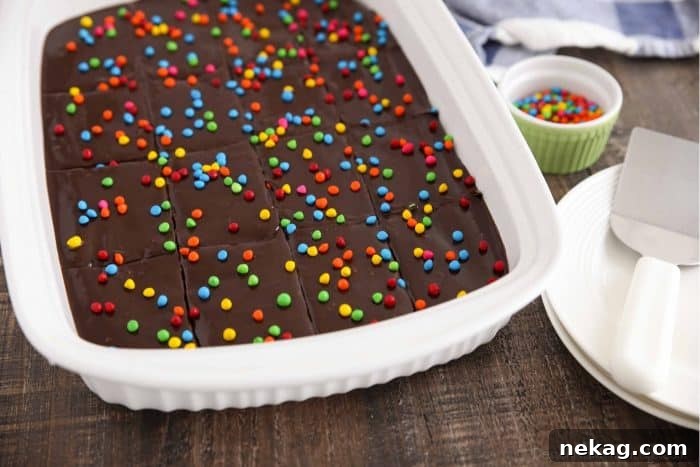 Chewy Chocolate Brownies with Rainbow Sprinkles 7 Homemade Cosmic Brownies are the perfect dessert for lunchbox treats or anytime.