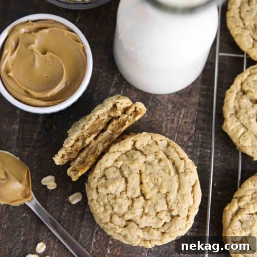 Oatmeal peanut butter cookies are thick and chewy.