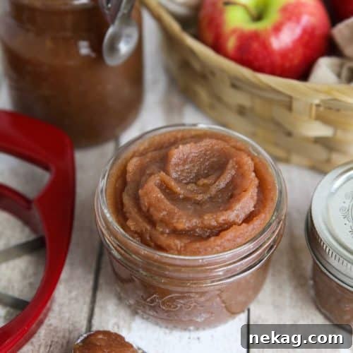 This apple butter recipe is thick and full of spices. Perfect on toast and waffles, or in oatmeal and yogurt.