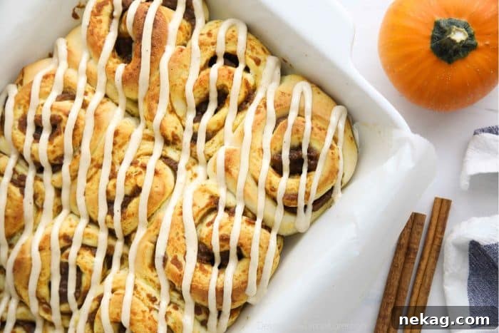 Pumpkin Spice Cinnamon Rolls with Cream Cheese Glaze 10 Baked pumpkin cinnamon rolls with cream cheese frosting drizzled on top.