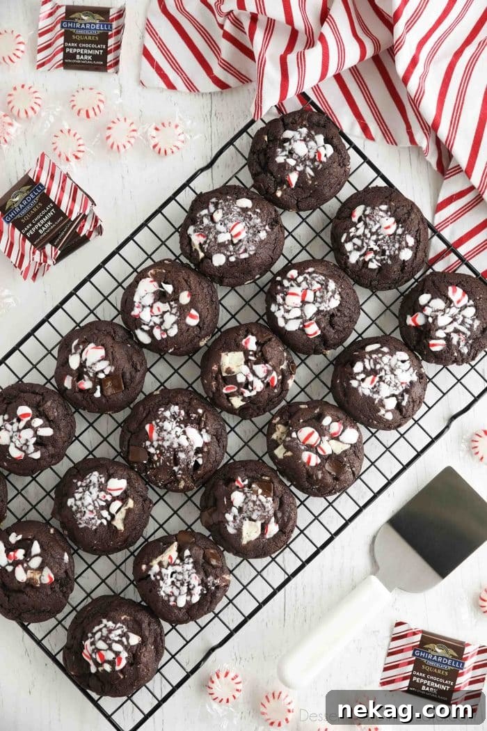 Cooling rack full of chocolate peppermint cookies.