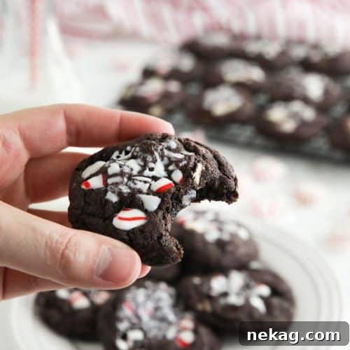 Bite taken out of a chocolate peppermint cookie with candy canes crushed on top.