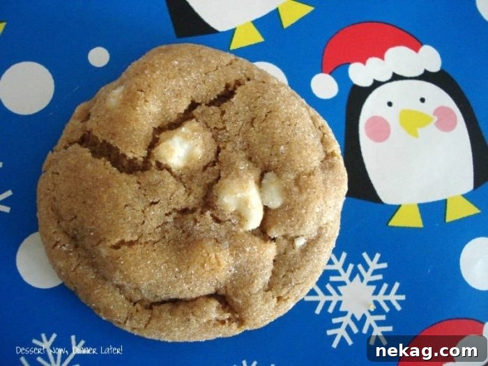 Gingerbread White Chocolate Chip Soft Cookies 3 Gingerbread White Chocolate Chip Softies are tender and chewy with molasses and spices for the perfect holiday cookie!