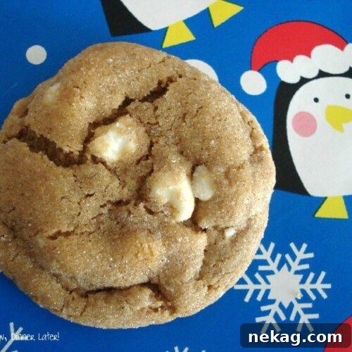 Gingerbread White Chocolate Chip Soft Cookies 5 Gingerbread White Chocolate Chip Softies are tender and chewy with molasses and spices for the perfect holiday cookie!