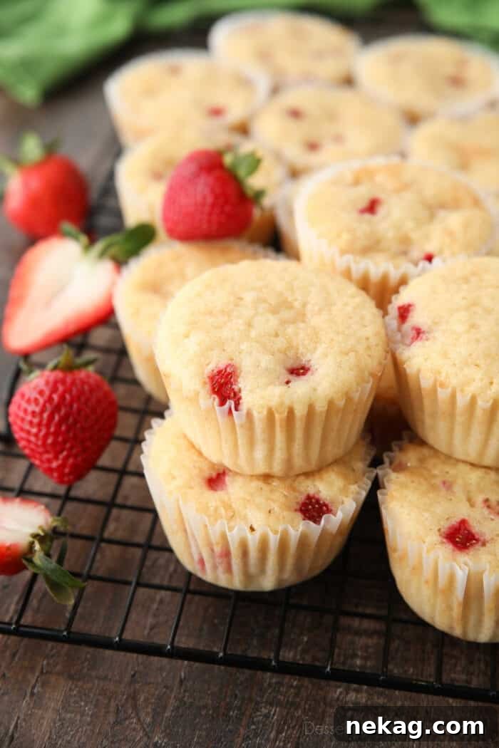 Fresh Strawberry Cupcakes with Real Fruit Frosting 3 Vanilla cupcakes with chunks of fresh strawberries.