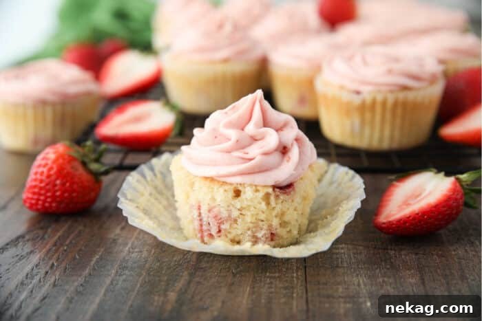 Fresh Strawberry Cupcakes with Real Fruit Frosting 8 Fresh strawberry cupcake in wrapper with strawberry frosting on top.