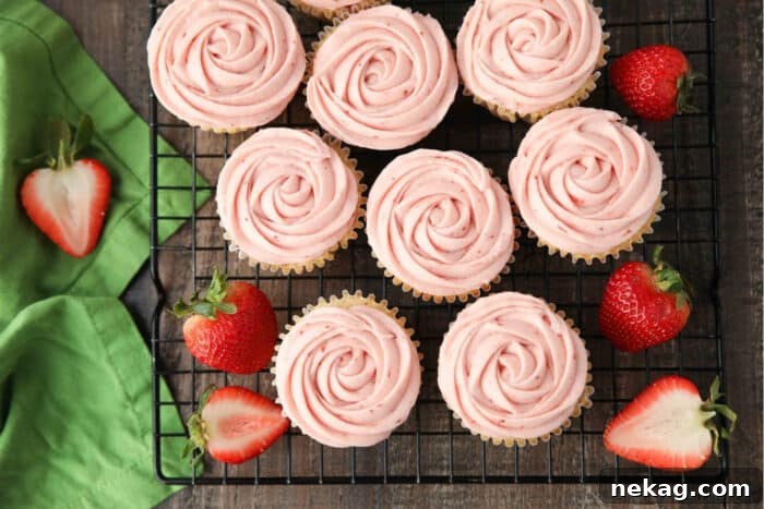 Fresh Strawberry Cupcakes with Real Fruit Frosting 9 Rosettes piped onto fresh strawberry cupcakes.