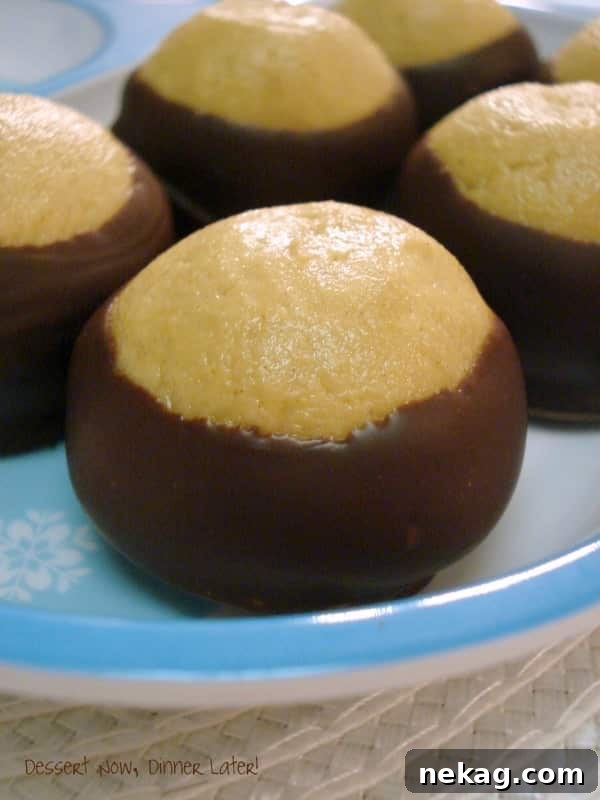 Chocolate Peanut Butter Buckeyes are the perfect holiday treat!