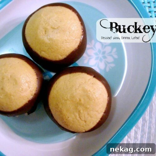 Chocolate Peanut Butter Buckeyes are the perfect holiday treat!