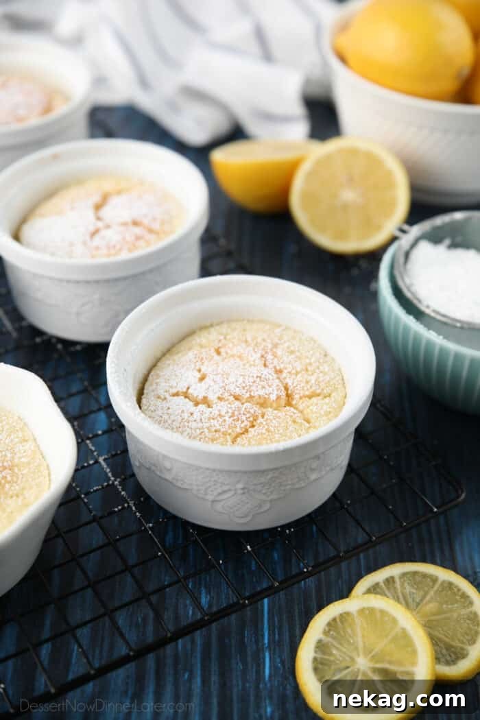 Light and Luscious Lemon Pudding Cake Recipe 7 Lemon pudding cakes dusted with powdered sugar.