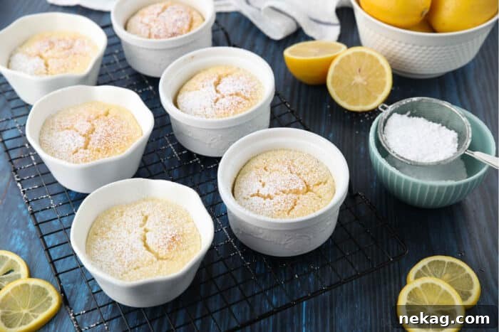 Light and Luscious Lemon Pudding Cake Recipe 8 Lemon pudding cakes with powdered sugar sprinkled on top.