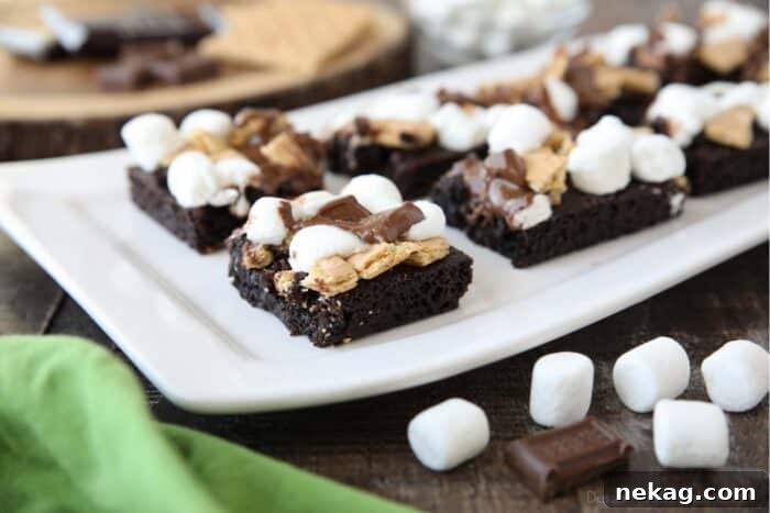 S'mores Brownies Recipe: Gooey Chocolate Graham Bar Squares 9 Close up side view of dark chocolate brownies topped with smores ingredients: graham crackers, marshmallows, and chocolate.