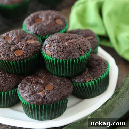 Moist Chocolate Zucchini Muffins with Melted Chocolate Chips 12 Plate full of chocolate zucchini muffins with chocolate chips.