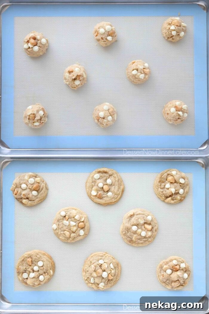 White Chocolate Macadamia Nut Cookie Recipe for Chewy Crispy Cookies 9 Collage Image for White Chocolate Macadamia Nut Cookies. Top: Cookie dough on tray. Bottom: Baked cookies.