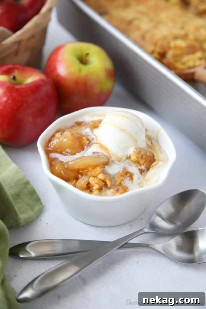 Close up of a bowl full of caramel apple dump cake and vanilla ice cream on top.