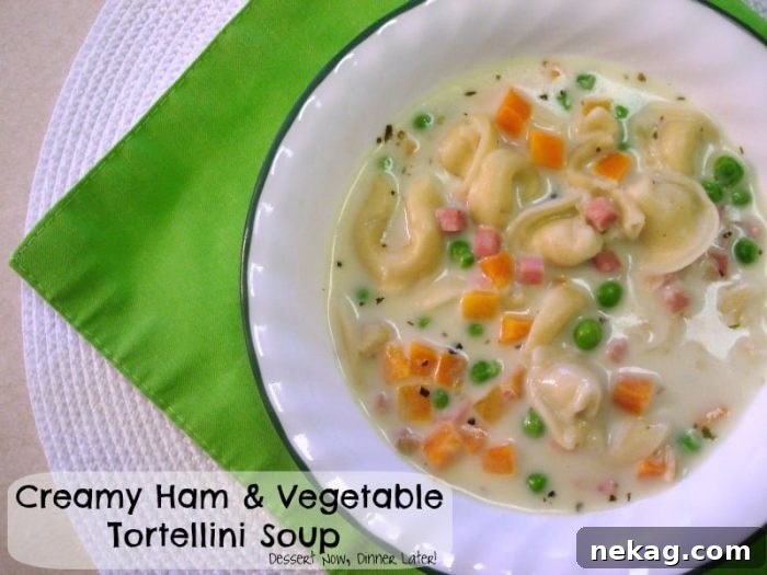 Creamy Ham & Vegetable Tortellini Soup