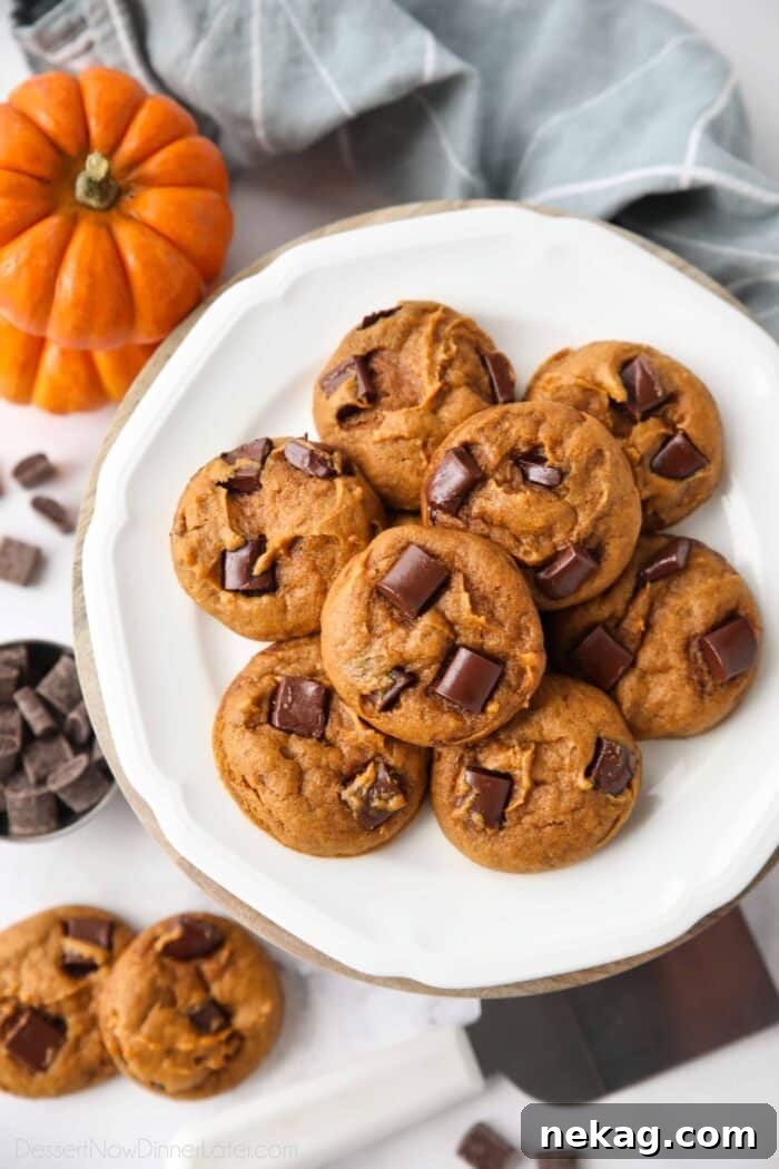 Pumpkin Chocolate Chunk Cookies Recipe — Soft, Chewy Fall Treat 2 Plate of pumpkin chocolate chunk cookies.