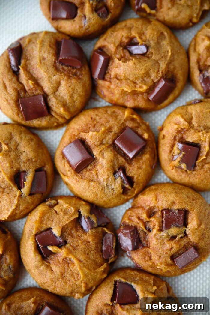 Pumpkin Chocolate Chunk Cookies Recipe — Soft, Chewy Fall Treat 3 Closeup of pumpkin chocolate chunk cookies on a silicone baking mat.