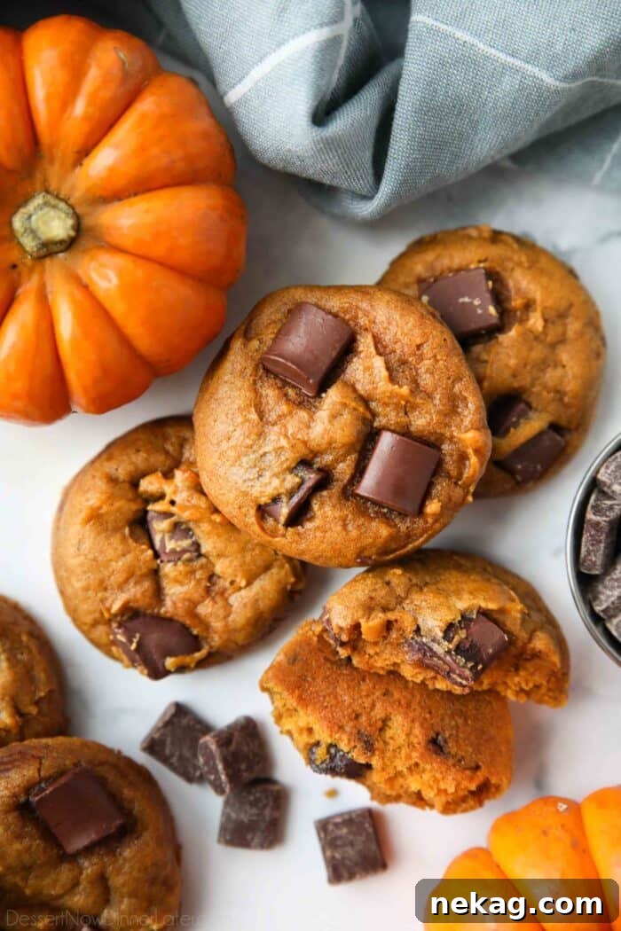 Pumpkin Chocolate Chunk Cookies Recipe — Soft, Chewy Fall Treat 4 Pumpkin cookies with chocolate chunks.