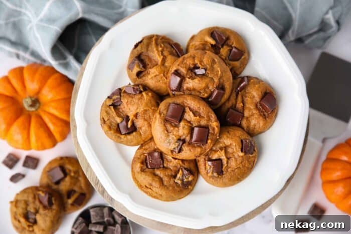 Pumpkin Chocolate Chunk Cookies Recipe — Soft, Chewy Fall Treat 8 Plate of pumpkin chocolate chunk cookies.