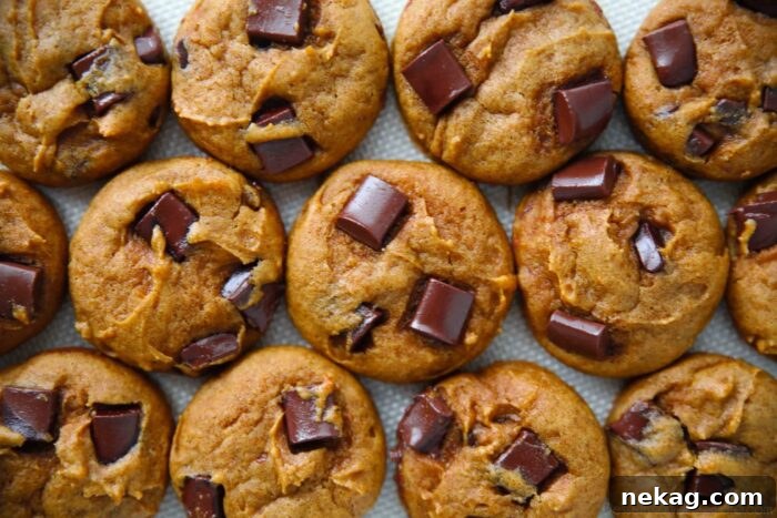 Pumpkin Chocolate Chunk Cookies Recipe — Soft, Chewy Fall Treat 9 Closeup of pumpkin chocolate chunk cookies on a silicone baking mat.