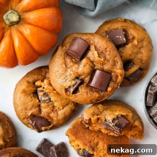 Pumpkin cookies with chocolate chunks.