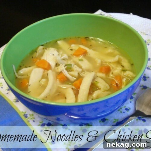 Homemade Noodles & Chicken Soup