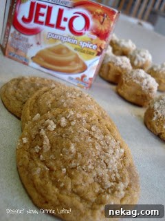 Pumpkin Streusel Pudding Cookies Recipe for Fall Baking 3 img 309 2