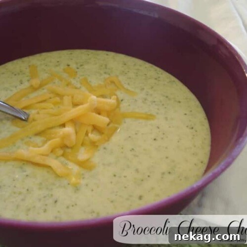 Broccoli Cheese Chowder
