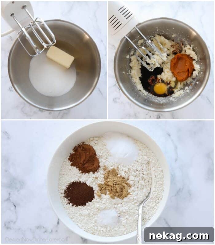 Chewy Pumpkin Gingersnap Cookies with Warm Spices 5 Steps to make pumpkin gingersnap cookie dough.