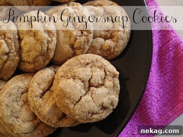 Chewy Pumpkin Gingersnap Cookies with Warm Spices 9 img 311 9
