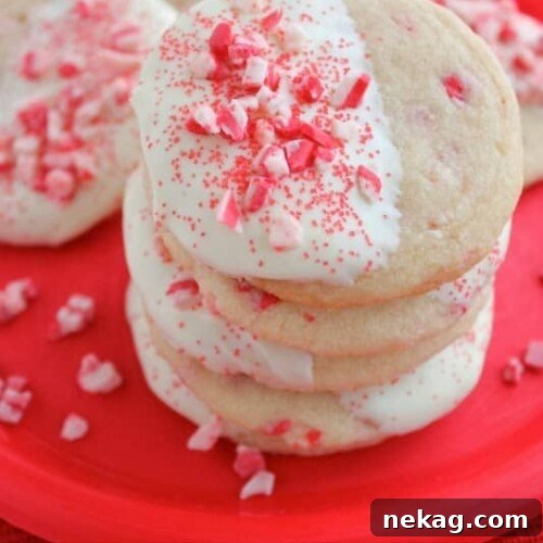 White Chocolate–Dipped Peppermint Sugar Cookies for the Holidays 4 di