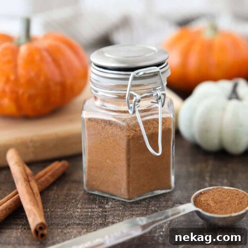 How to Make Homemade Pumpkin Pie Spice Blend for Fall Baking 6 Homemade Pumpkin Pie Spice in a glass jar with mini pumpkins and cinnamon sticks on the side.