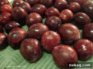 Homemade Plum Jam Recipe: Sweet Preserves for Any Season 3 img 322 2