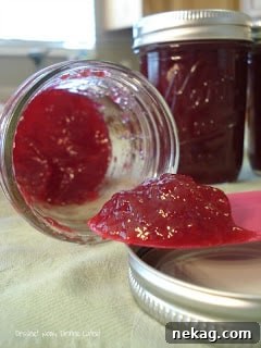 Homemade Plum Jam Recipe: Sweet Preserves for Any Season 5 img 322 4